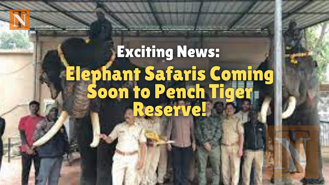 Jumbo Patrolling in Pench: Elephant Safaris Coming Soon!
								